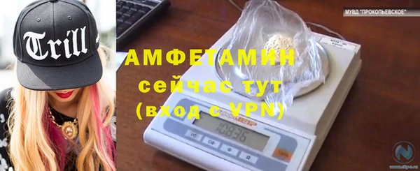 гашик Осташков