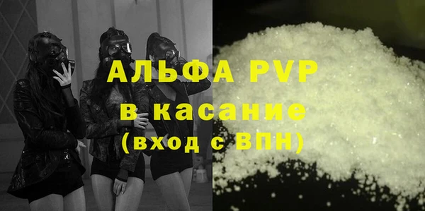 гашик Осташков