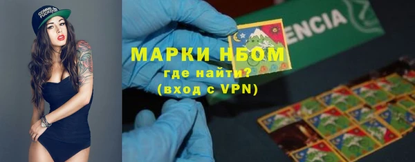 гашик Осташков