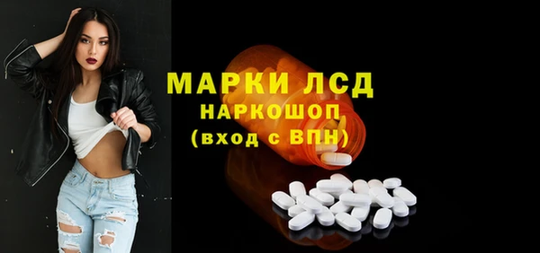 гашик Осташков