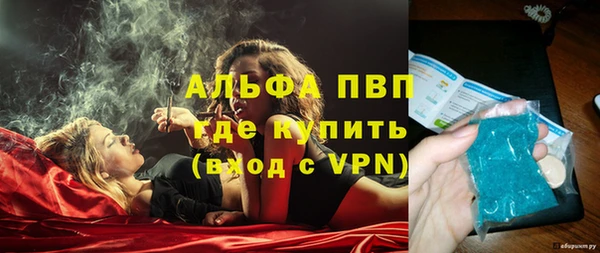 гашик Осташков