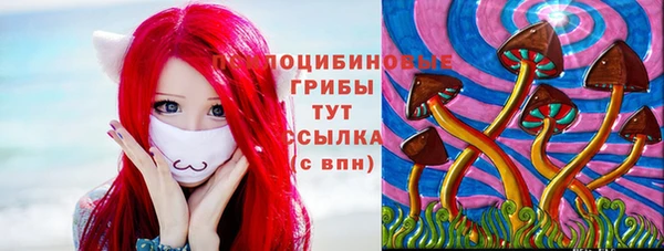 гашик Осташков