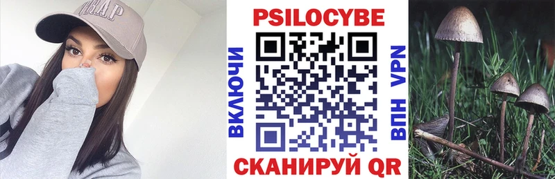 Галлюциногенные грибы Psilocybine cubensis  МЕГА рабочий сайт  Почеп  где продают  